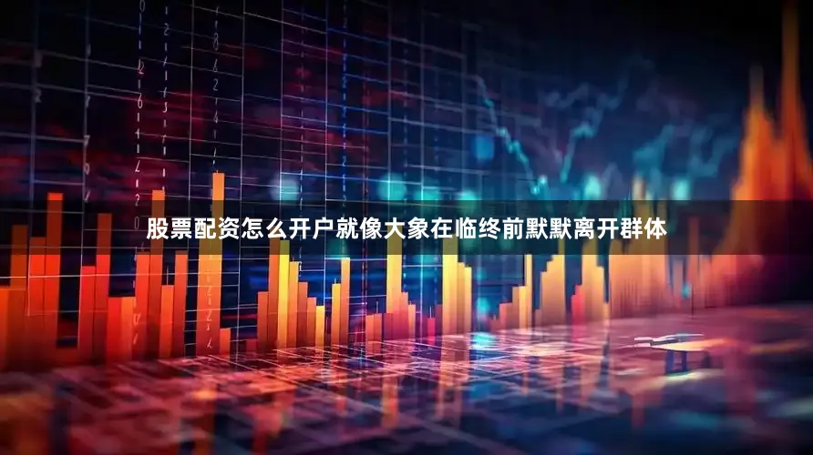 股票配资怎么开户就像大象在临终前默默离开群体