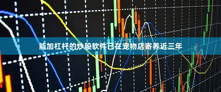 能加杠杆的炒股软件已在宠物店寄养近三年